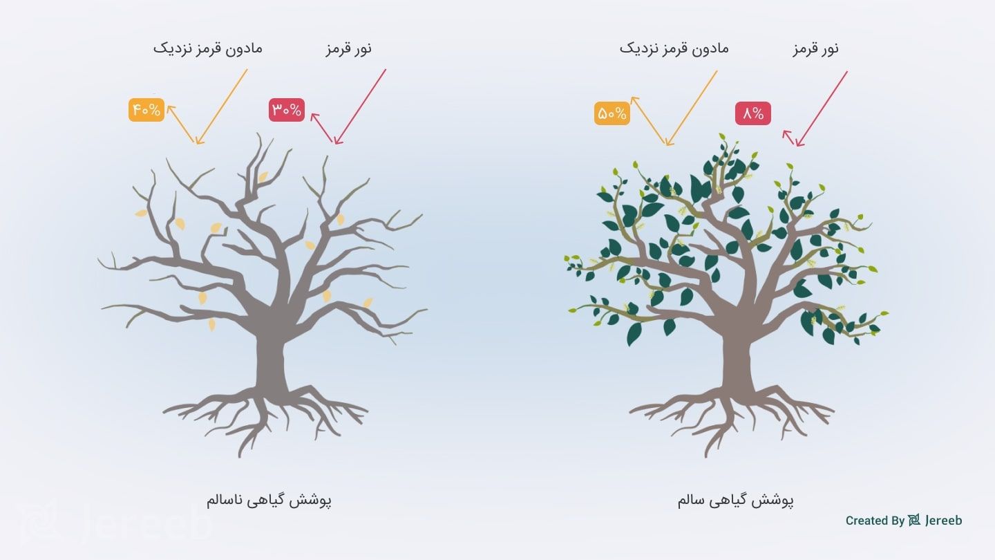 مقایسه بازتاب امواج از درختان سالم و ناسالم که منجر به تفاوت در NDVI می‌شود.