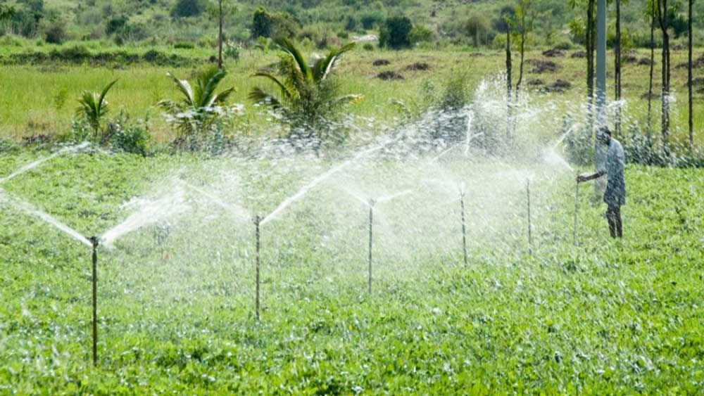 روش بارانی یکی از روش‌های آبیاری تحت فشار است؛ در آبیاری بارانی آب از فاصله یک یا دو متری شبیه به باران بر روی گیاهان پاشیده می‌شود.