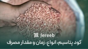 انواع کود پتاسیم شامل سولفات پتاسیم، پتاس، سیلیکات پتاسیم، سولوپتاس، فسفیت پتاسیم و کود نیترات پتاسیم هستند.