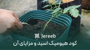 کود هیومیک اسید و مزایای آن در کشاورزی