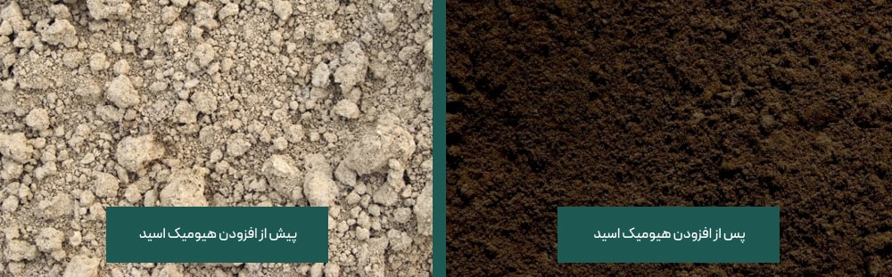 بافت خاک پیش و پس از افزودن هیومیک اسید