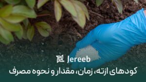 کود ازته برای گیاه