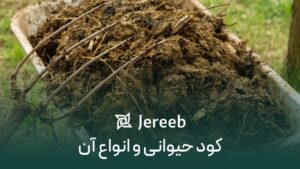 کود حیوانی کود دامی کود مرغی کود گاوی کود گوسفندی