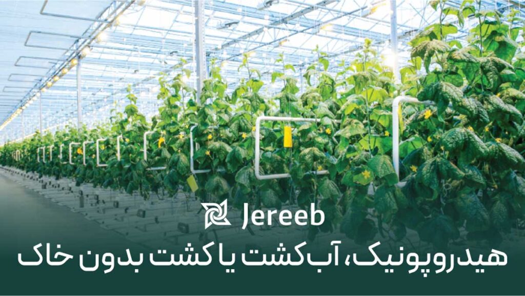 کشت هیدروپونیک، آبکشت یا کشت بدون خاک