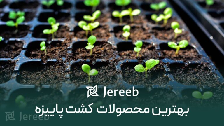 بهترین محصولات برای کشت پاییزه