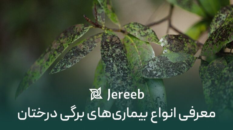 معرفی انواع بیماری برگی درختان