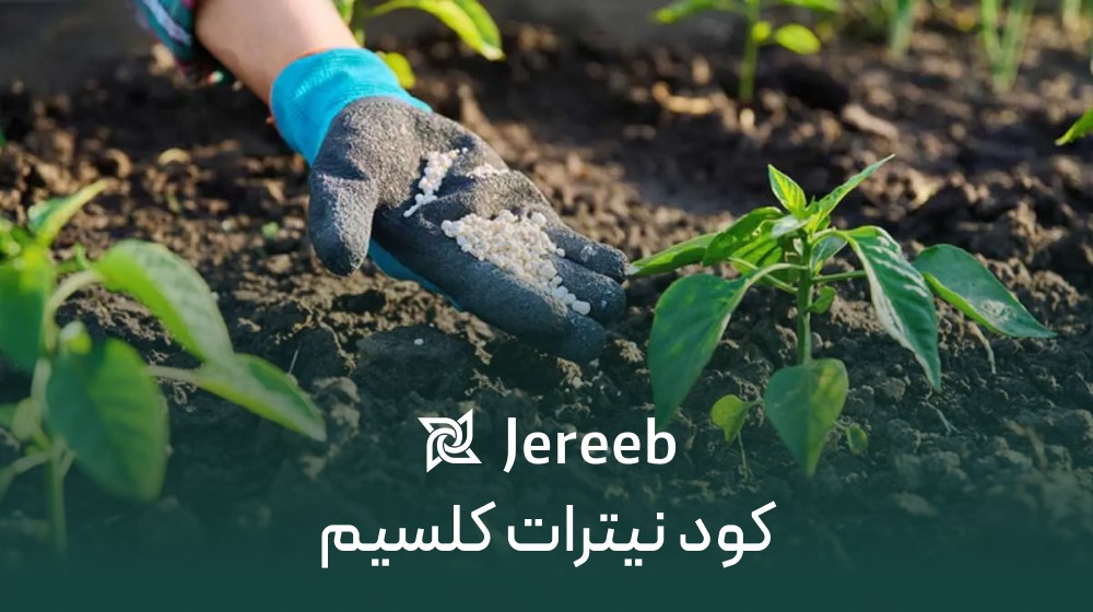 کود نیترات کلسیم؛ مزایا، نحوه مصرف و کاربرد در کشاورزی